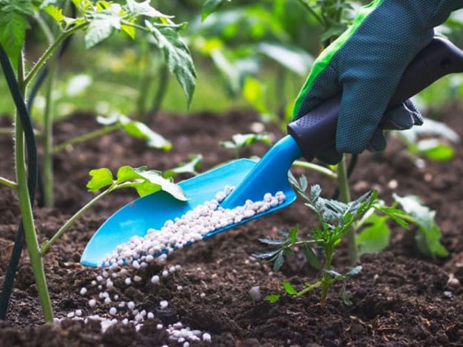 Abonos y fertilizantes