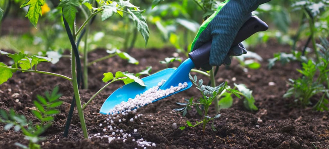 Abonos y fertilizantes