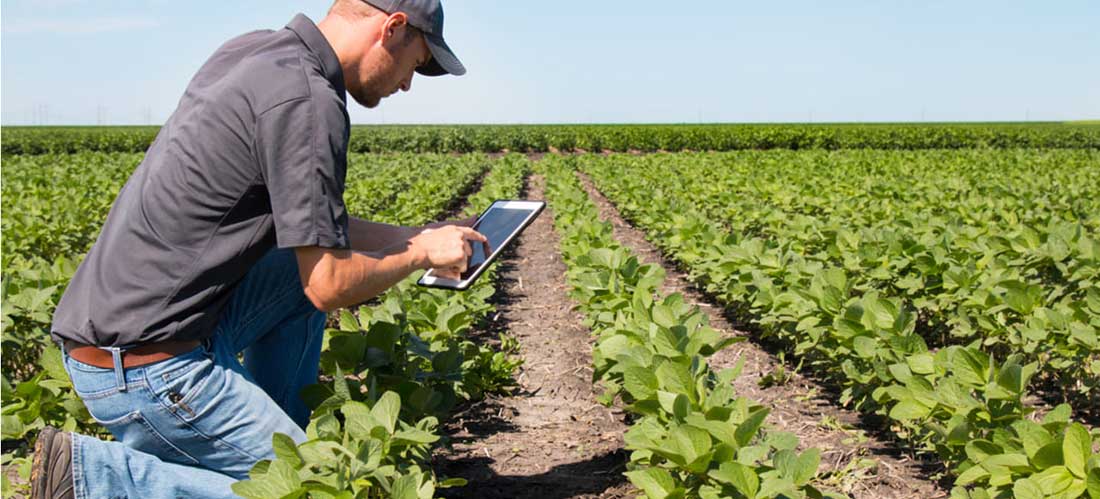 Asesoramiento técnico