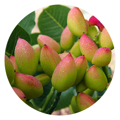 Experiencia - José Ortiz Lavado